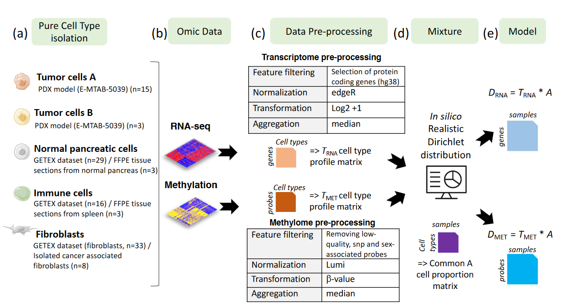 Referred as Supplementary Figure 1 in the paper.